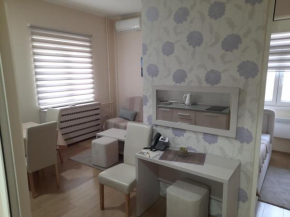 Apartman Karadjordje 2